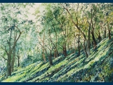 Chestnut woodland Tzagarada,Pilion 35.5x25.5